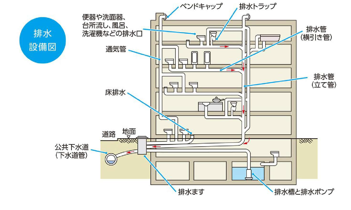 図：一般ビルの排水システム